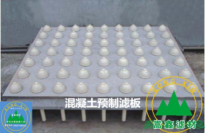 �V�^�V�尲�bЧ���D